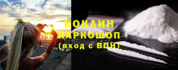 прущие грибы Армянск