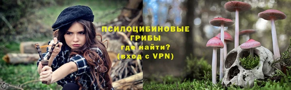 прущая мука Алзамай